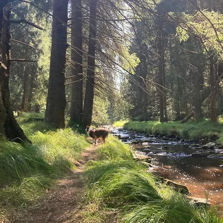 Шале Mera Хомутов