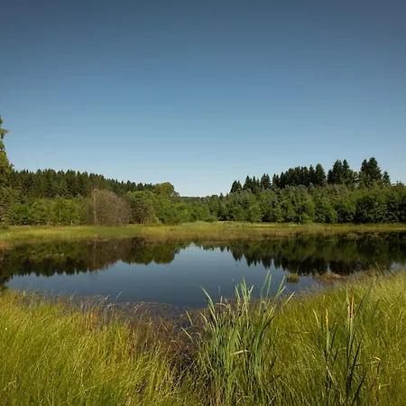 Mera Шале Хомутов